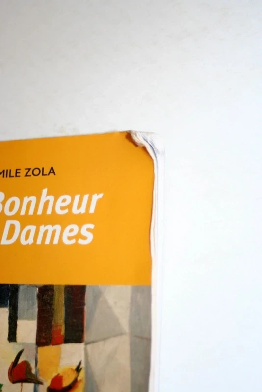 Al felicidad de las damas de Émile Zola, Colección Cuadrados Clásicos – photo 4